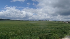P5124921