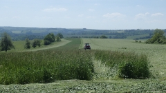 P5225094