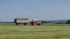 P5225194