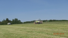 P5225204