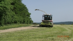 P5235306