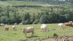 P6240758
