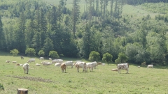 P6240764