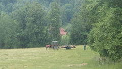 P6050102