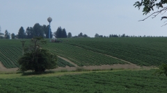 P6190645