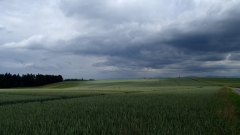 P6200679