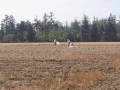 P8302489